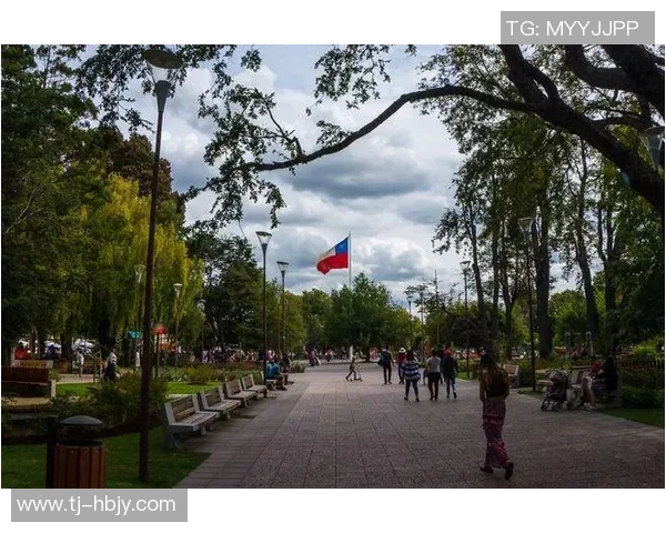 玻维利亚迎战巴西足球强队争夺南美洲预选赛重要积分